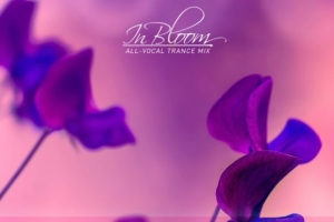 markus-schulz---global-dj-broadcast-in-bloom-2023--vocal-trance-mix-.jpg