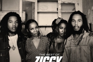 ziggy-marley-and-the-melody-makers.jpg
