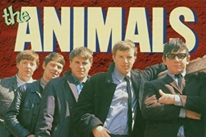 animals---house-of-the-rising-sun.jpg