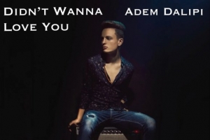 adem---didn-t-wanna-you.jpg