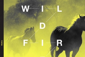 bt---wildfire--original-mix-.jpg