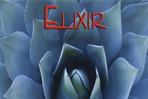 elixir---the-industry.jpg