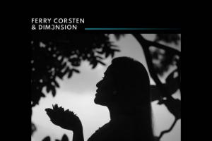ferry-corsten---dim3nsion---safe-with-me.jpg
