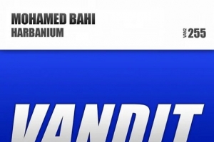 mohamed-bahi---harbanium--extended-.jpg