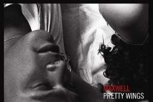 maxwell---pretty-wings.jpg