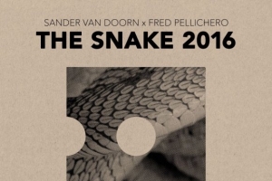 sander-van-doorn---the-snake--ft.-fred-pellichero-.jpg