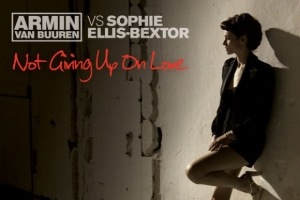 armin-van-buuren---not-giving-up-on-love--ft.-sophie-ellis-bextor-.jpg