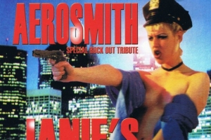 aerosmith---janie-s-got-a-gun.jpg