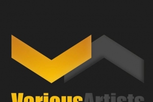 various-artists---when-he-s-not-around.jpg